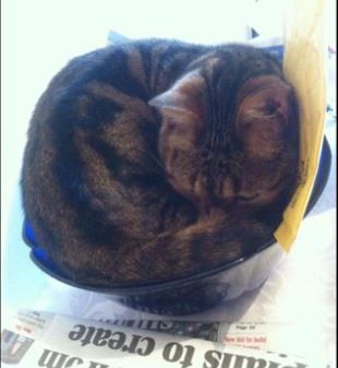 Strangest-Sleeping-Places-Second---Eleanor-M-Powell