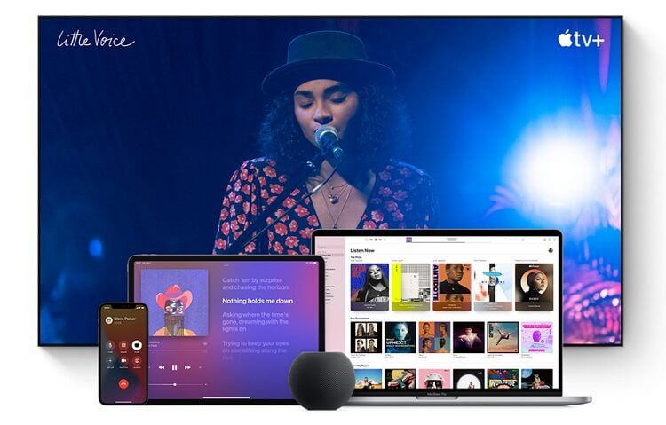 apple-home-mini-connectivity