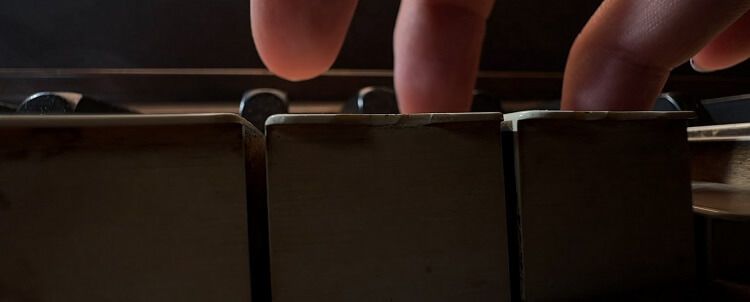 Macro-pic-1