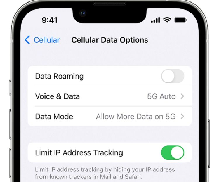 ios-16-iphone-13-pro-settings-cellular-options