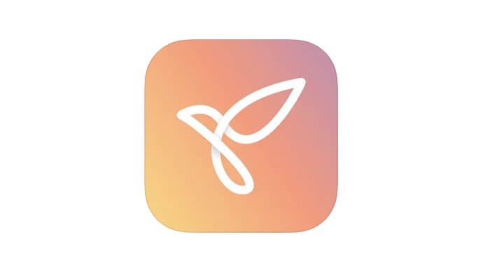 Youper