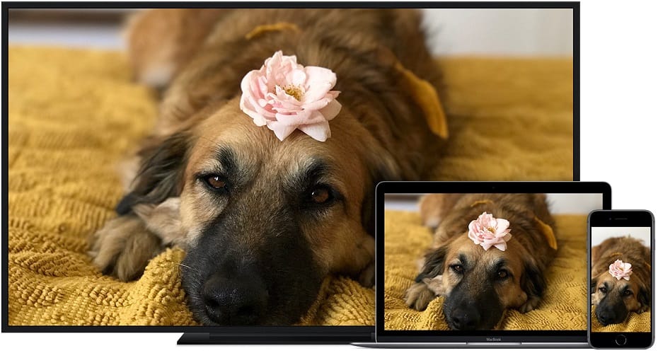 appleplay.jpg