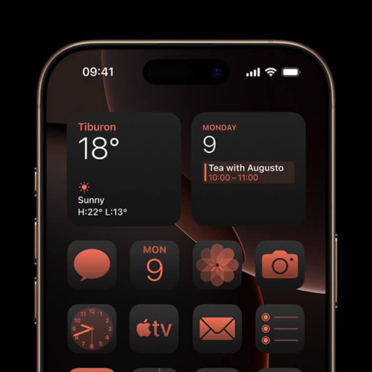 thin__eqeewfn1mgsy_xlarge(1)(1).jpg