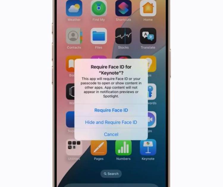 hide app(1).jpg
