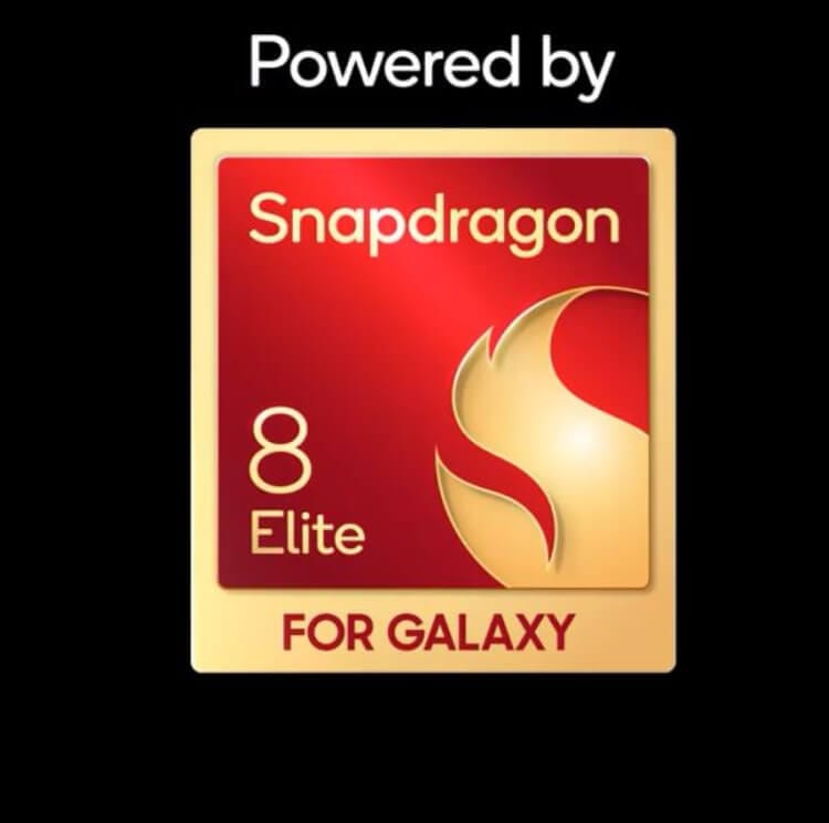 snapferagon(1).jpg