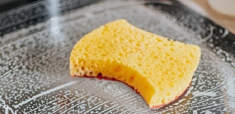 sponge.jpg