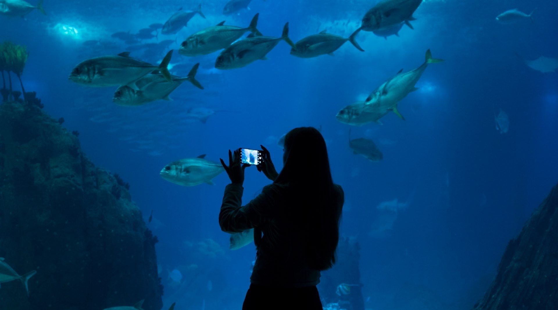 How To Shoot Amazing Videos On Your Smartphone