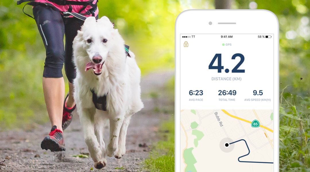 The Best Apps for Dog Owners