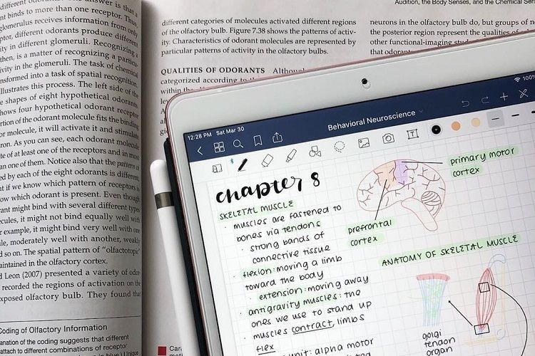 Apps to Fuel Your Productivity