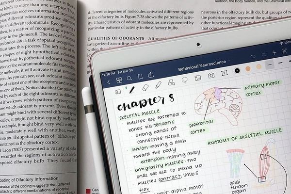 Apps to Fuel Your Productivity