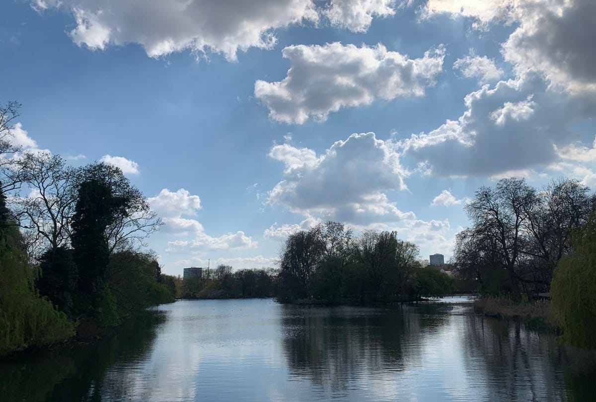 A photograph of a lake surrounded by trees, with a small, tree-lined island in the middle. Above is a blue sky with puffy white clouds, and on the horizon you can see some modest skyscrapers.