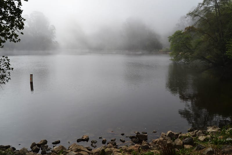 A fog-covered lake seen from a rocky shore, trees edging it.