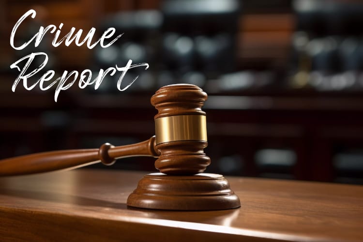 Henrico Crime Report: Aug. 17-23, 2026