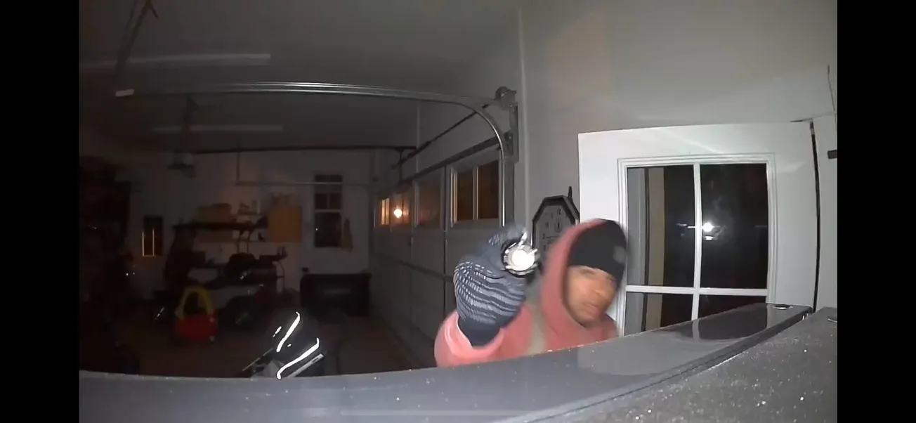 Metro Richmond Crime Stoppers' Crime of the Week: Nov. 11-17, 2024