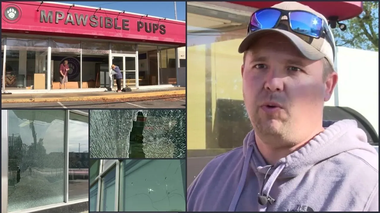 Businesses along West Broad Street shot at with BB gun • Eastern Henrico farm placed entirely under conservation easements