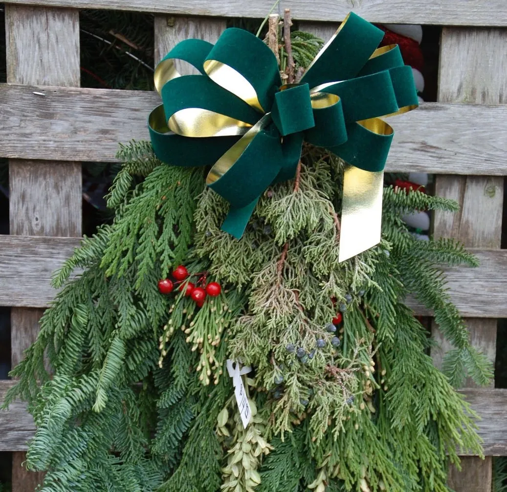 In the Garden: Winter celebrations and cold temperatures