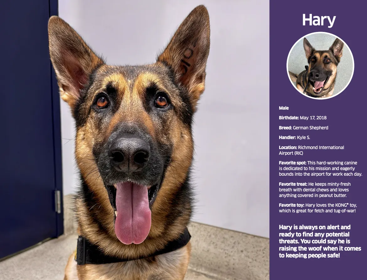 TSA canine 'Hary' from Richmond International Airport stars in agency's 2025 calendar
