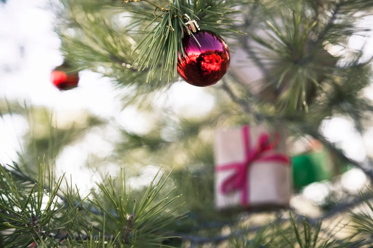 Henrico to accept Christmas trees for recycling Dec. 26-Jan. 9