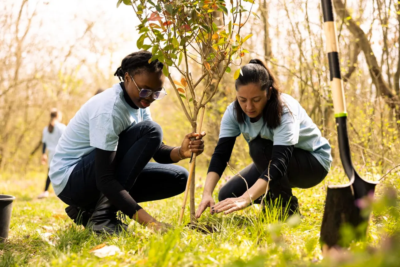 In the Garden: Plant a tree and make a difference