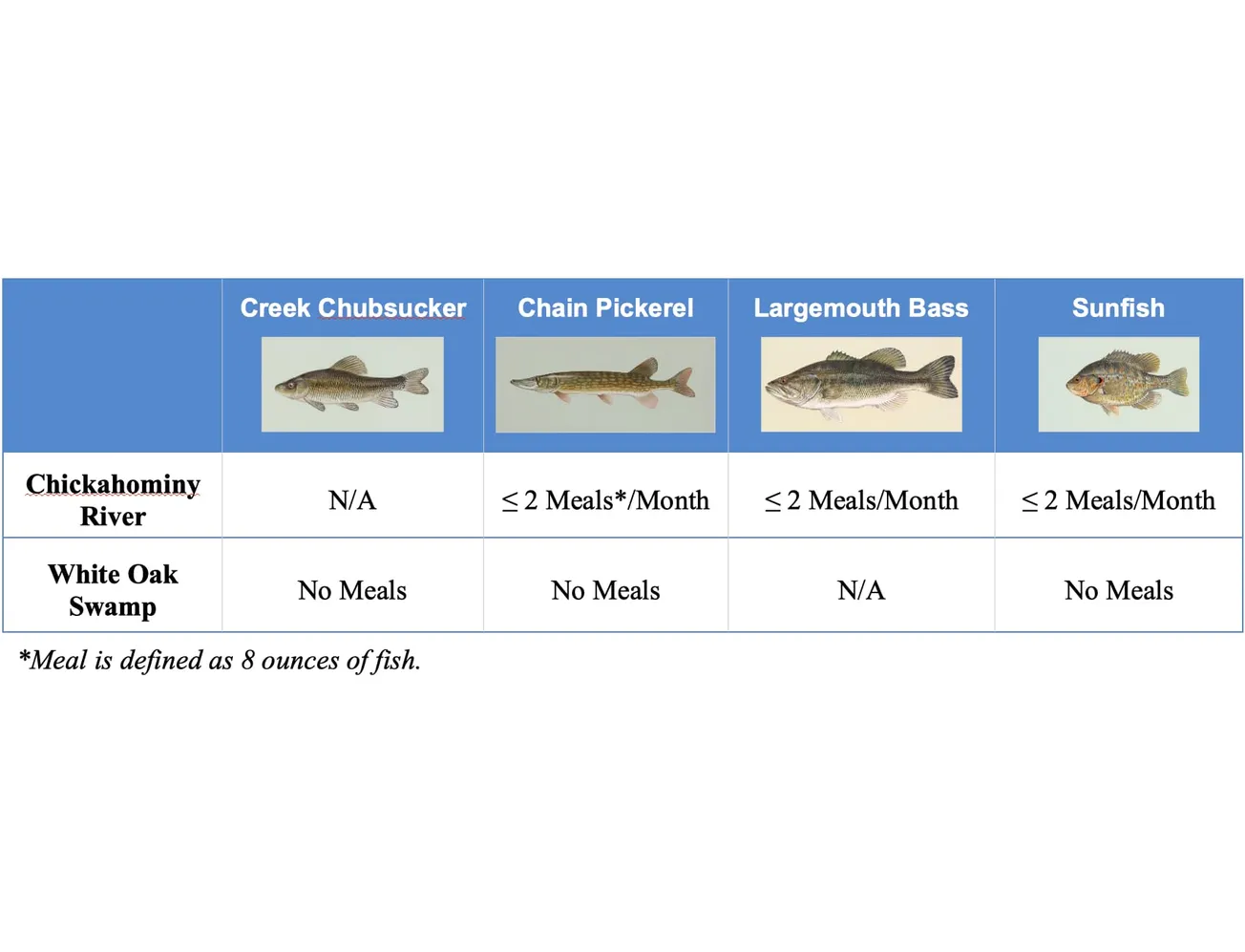 VDH issues fish consumption advisory for Eastern Henrico after fish tissue study shows elevated levels of 'forever chemicals'