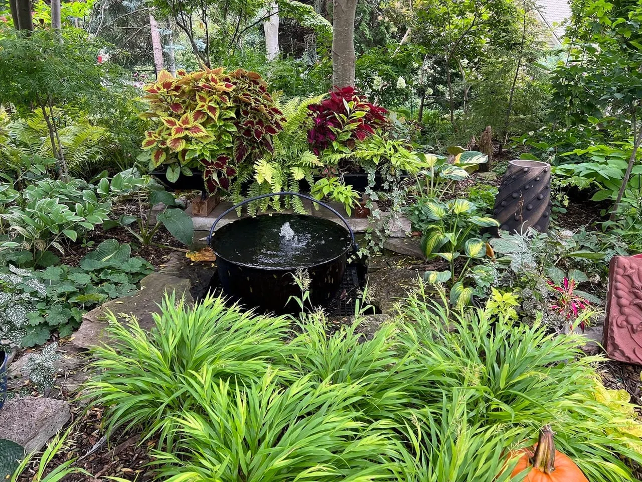 In the Garden: Creating and caring for shade gardens