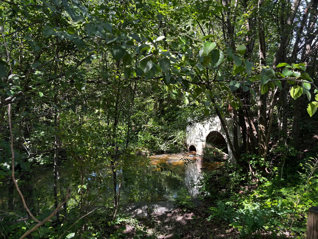 'It's like open-heart surgery;' Henrico funding stream-restoration projects to revive native habitats