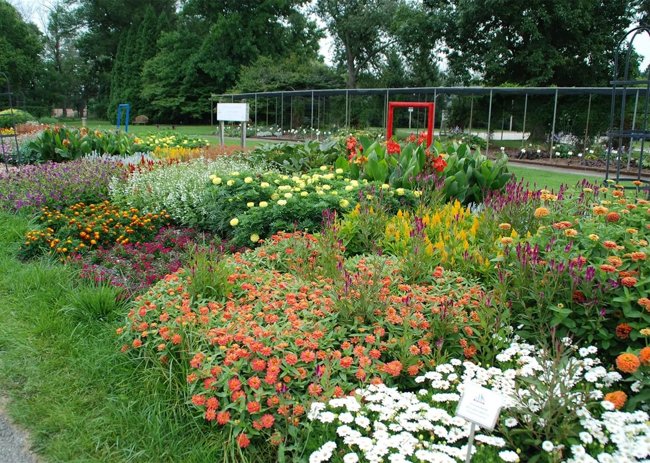 In the Garden: Gathering ideas for next year's garden