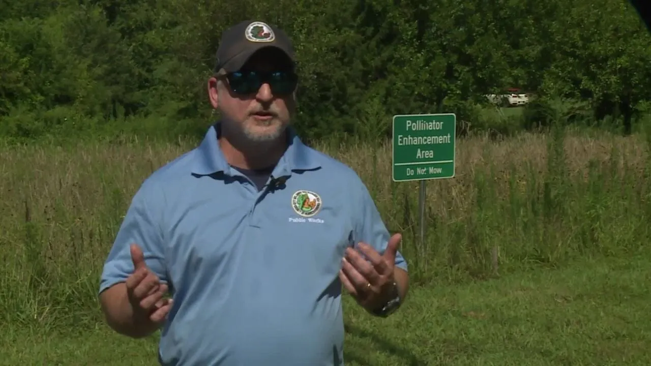 How Henrico is transforming mowed areas into thriving pollinator habitats: 'It's working'