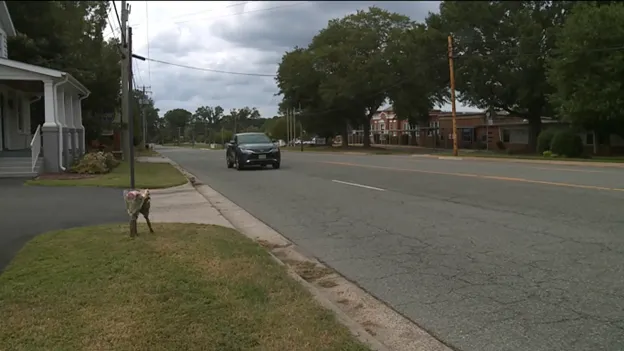 Girl killed riding bike across Three Chopt Road
