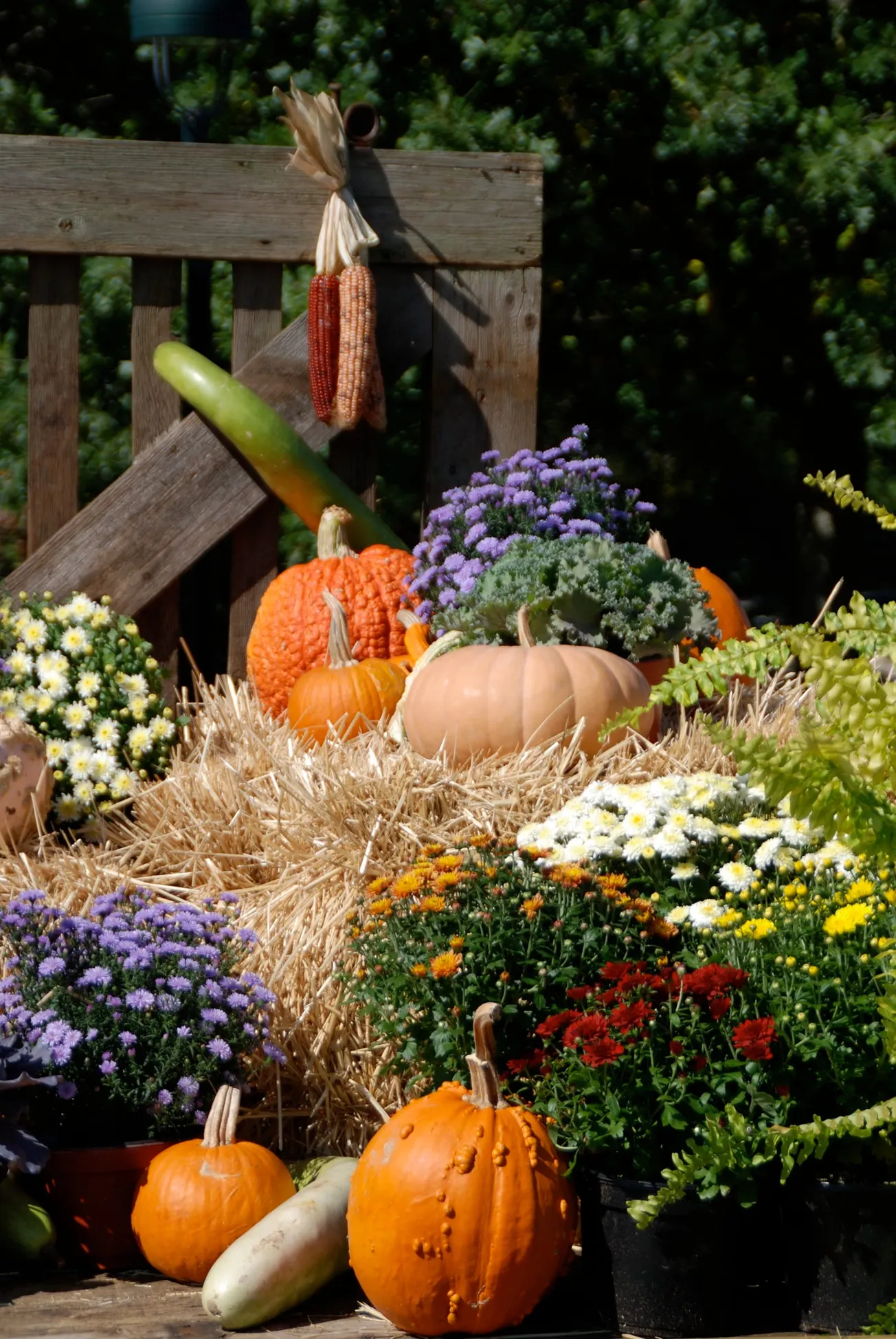 In the Garden: Add a fall display to your garden, front steps or balcony