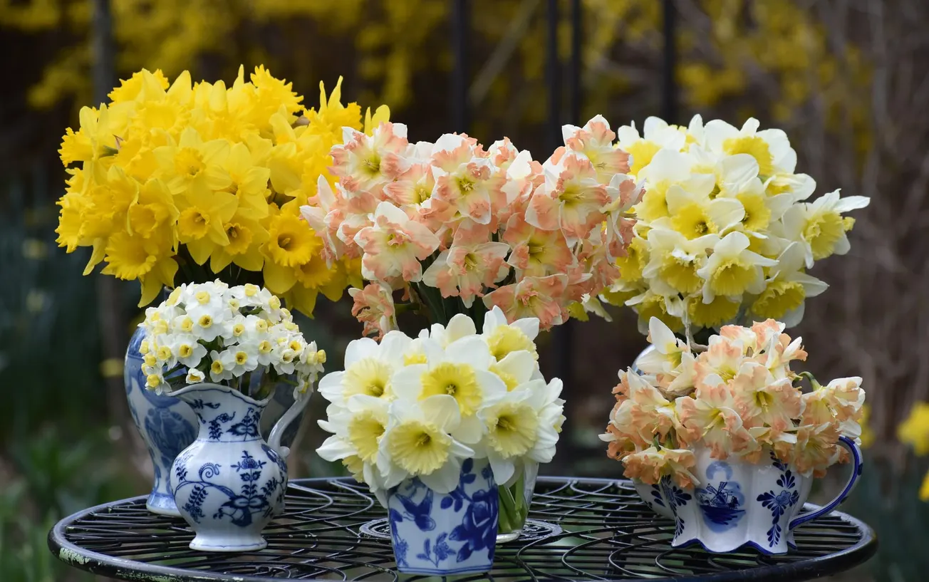 In the Garden: Plant bulbs this fall for beautiful spring bouquets