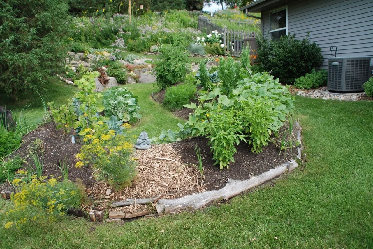 In the Garden: Improve your garden soil with fall leaves and landscape trimmings