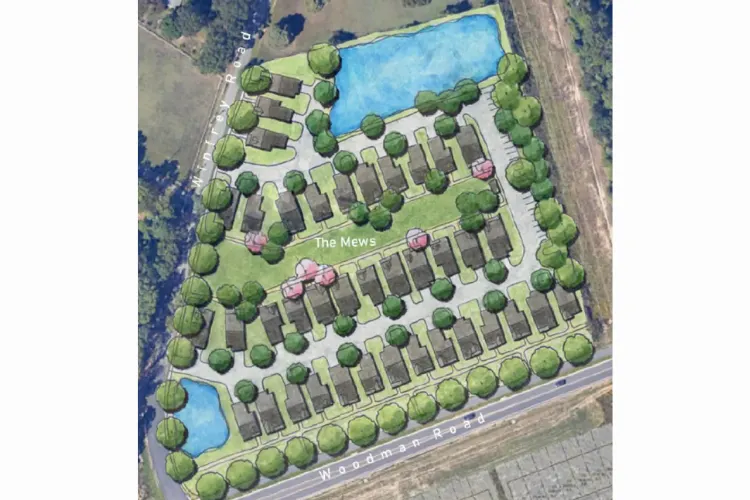 Henrico Planning Commission endorses River Mill expansion, opposes 2 other residential cases • Bed sores, abuse and biohazards: What inspections reveal about care and conditions at Henrico nursing home