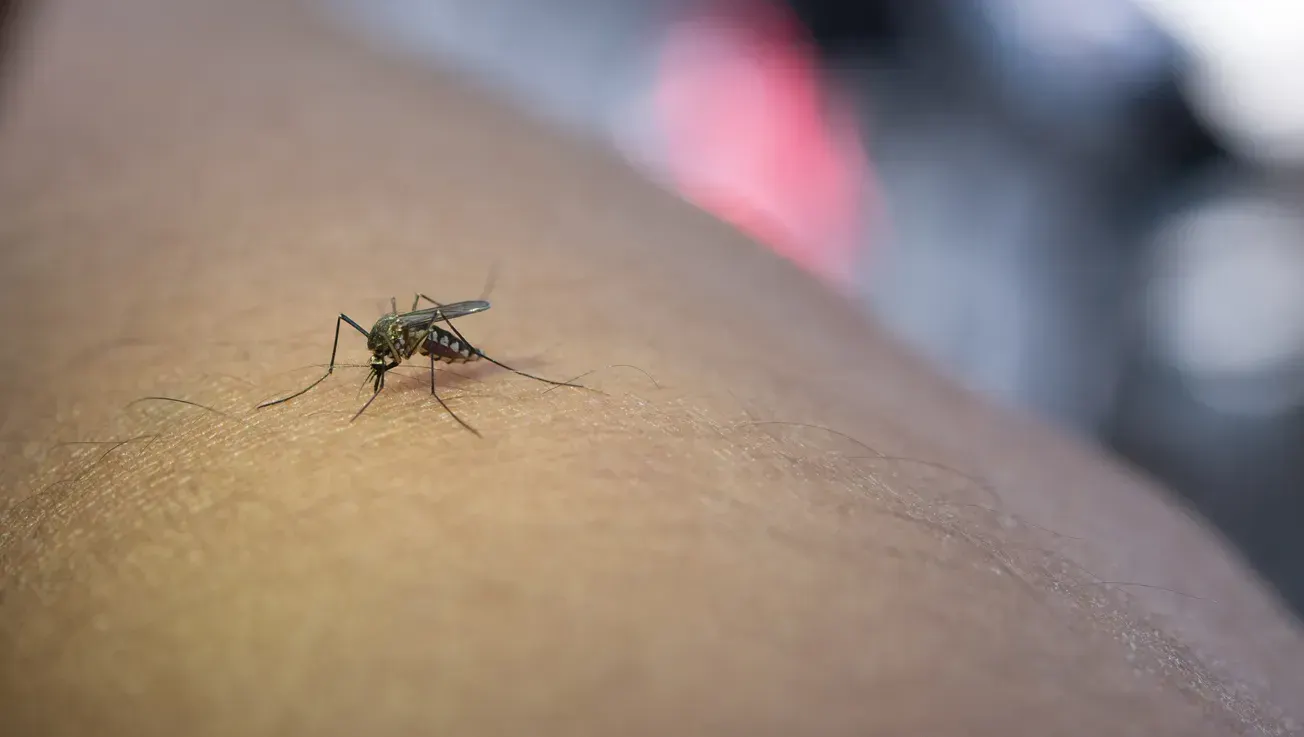 West Nile Virus risk drops in Henrico, health officials say