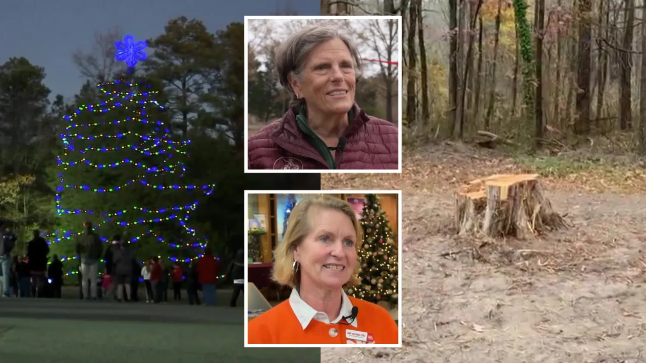 Community rallies after vandal chainsaws beloved Glen Allen Christmas tree weeks before holiday celebration