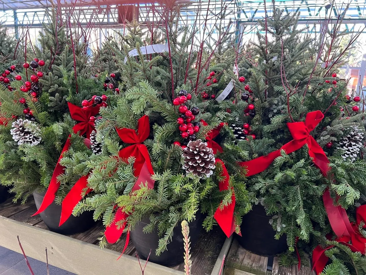 In the Garden: Create your own winter containers