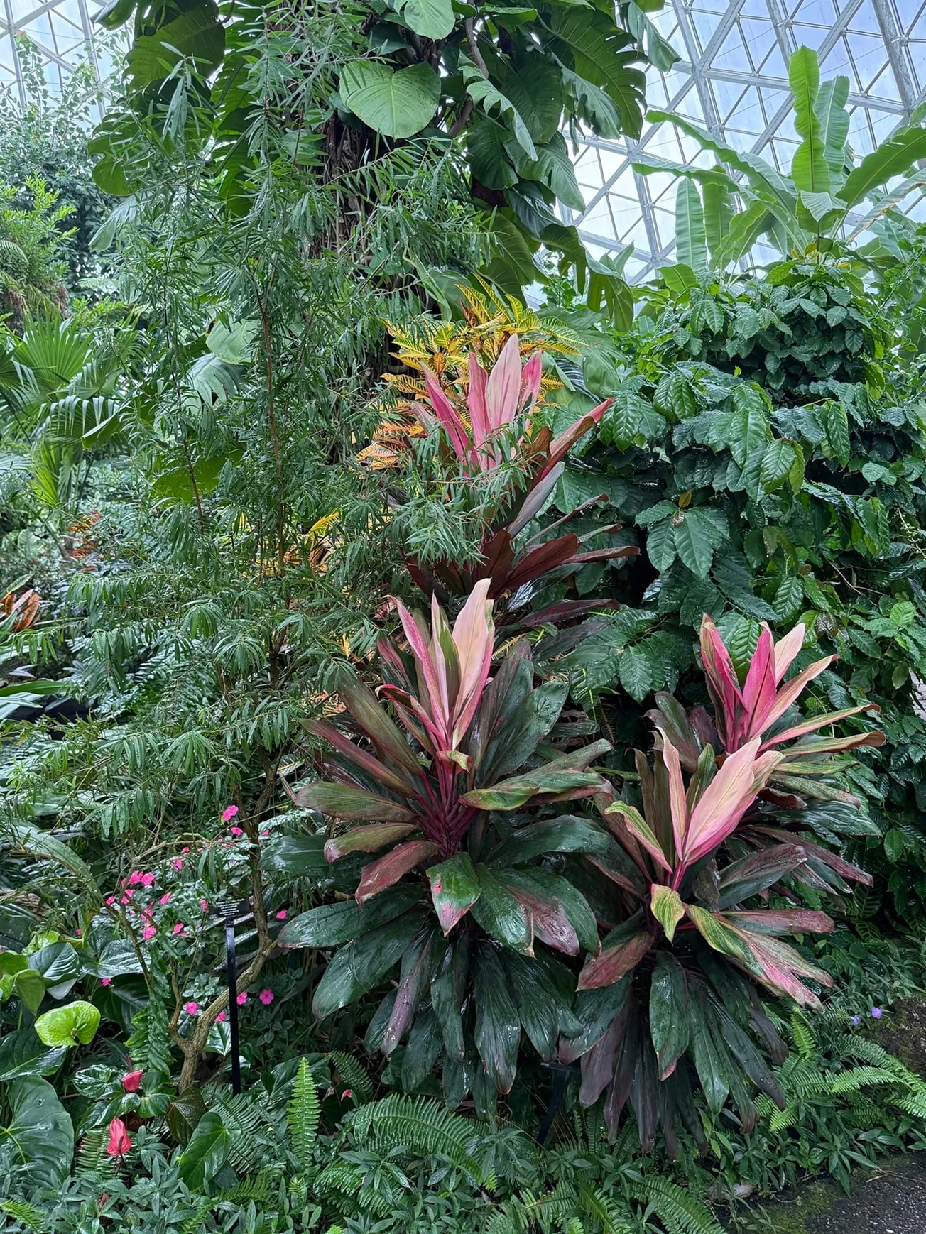 In the Garden: Experience the many benefits of spending time in nature