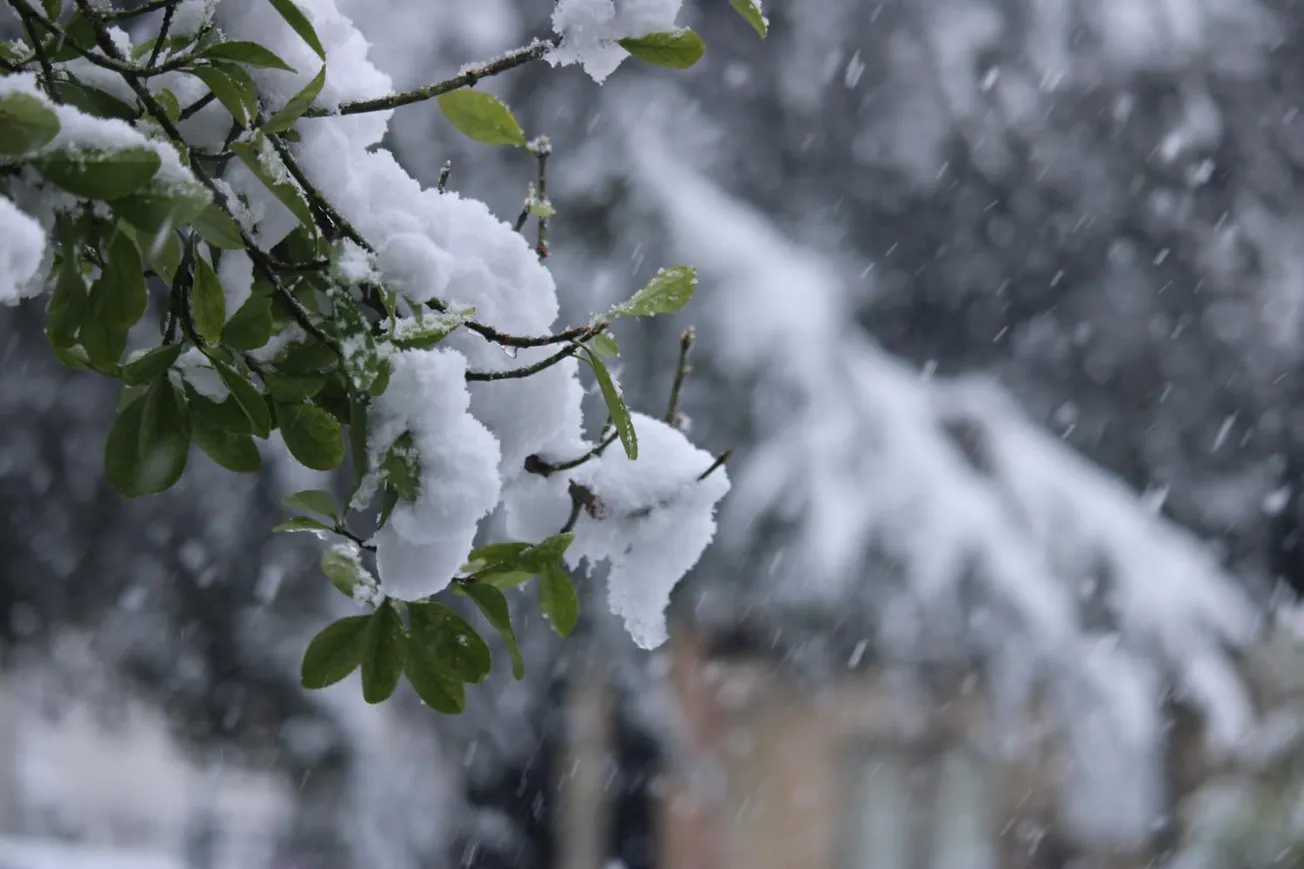 Weekend winter storm to impact all of Virginia