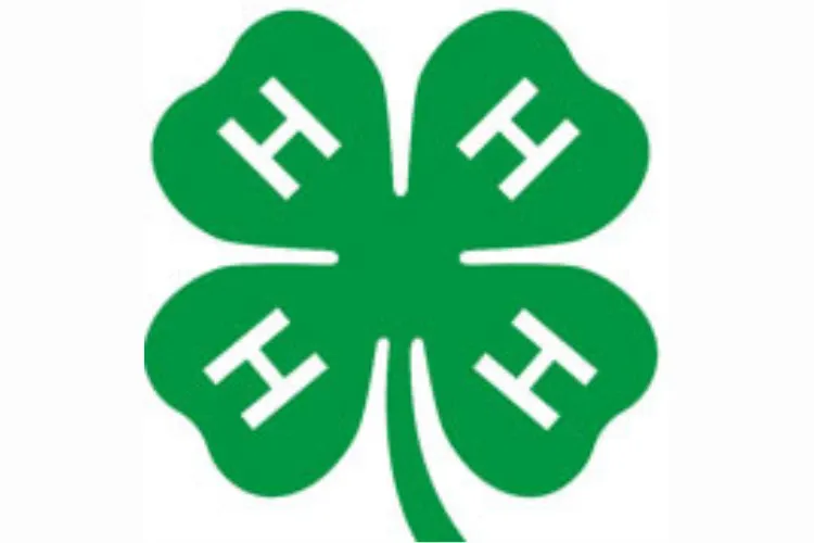 Registration opens March 18 for 2026 Henrico Junior 4-H Summer Camp