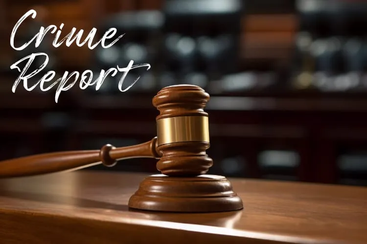 Henrico Crime Report: March 20-26, 2026