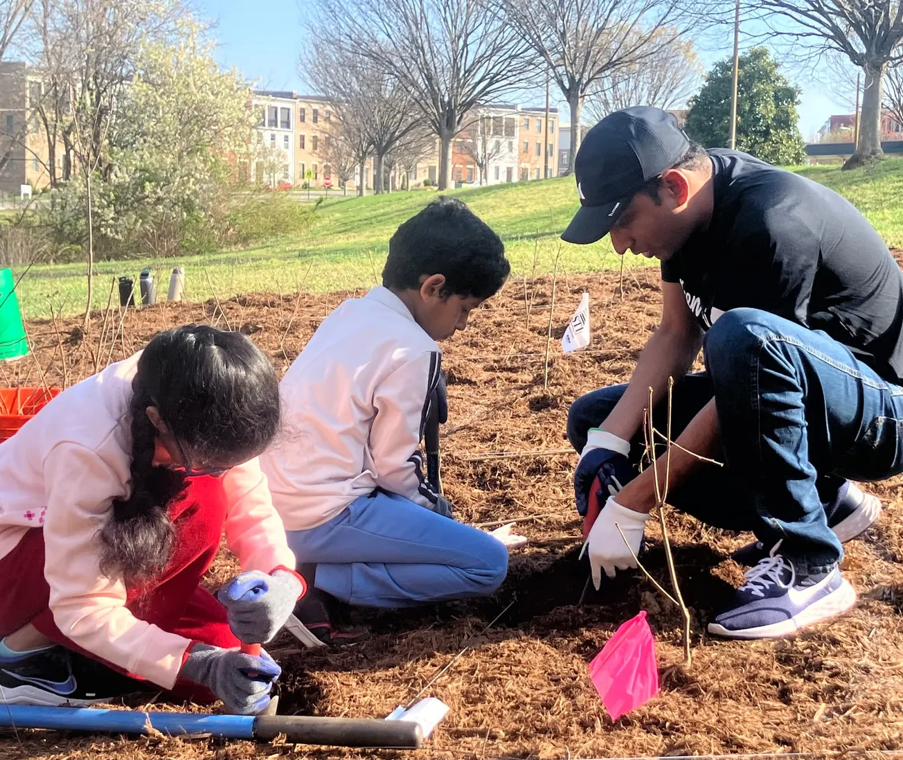 Future 'forest' takes shape at Nuckols Farm Elementary School