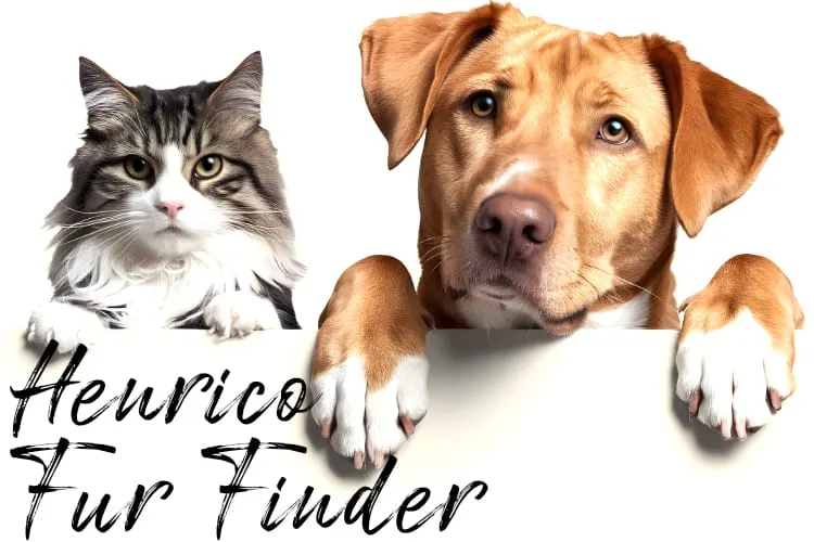 Henrico Fur Finder: April 15, 2026