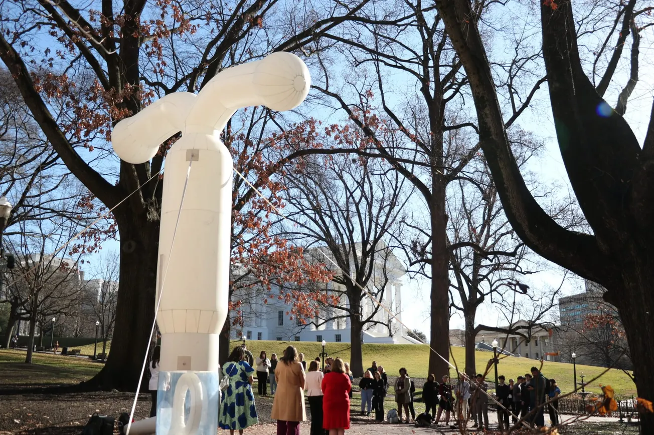 Virginia lawmakers send contraception-access bills to governor’s desk