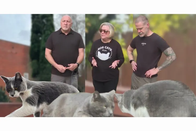 Byrd Park neighbors concerned after multiple cats suddenly disappear