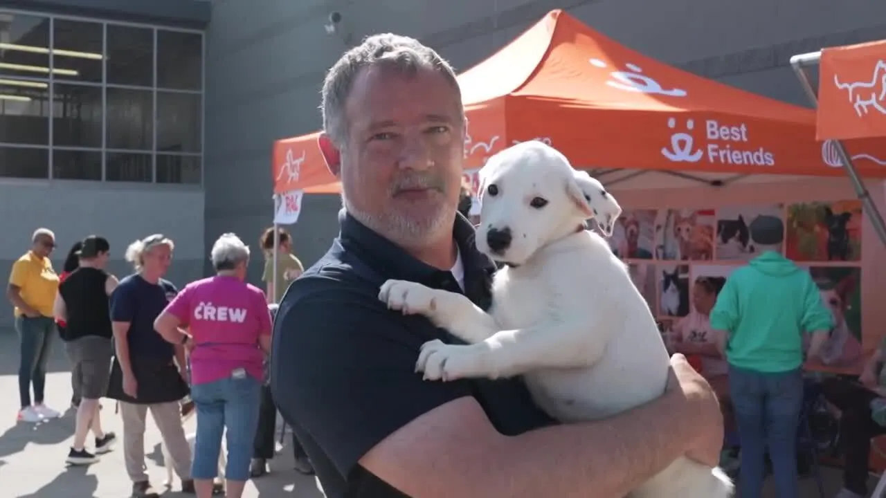 Richmond Animal League hosts pet adoption event at Henrico Walmart