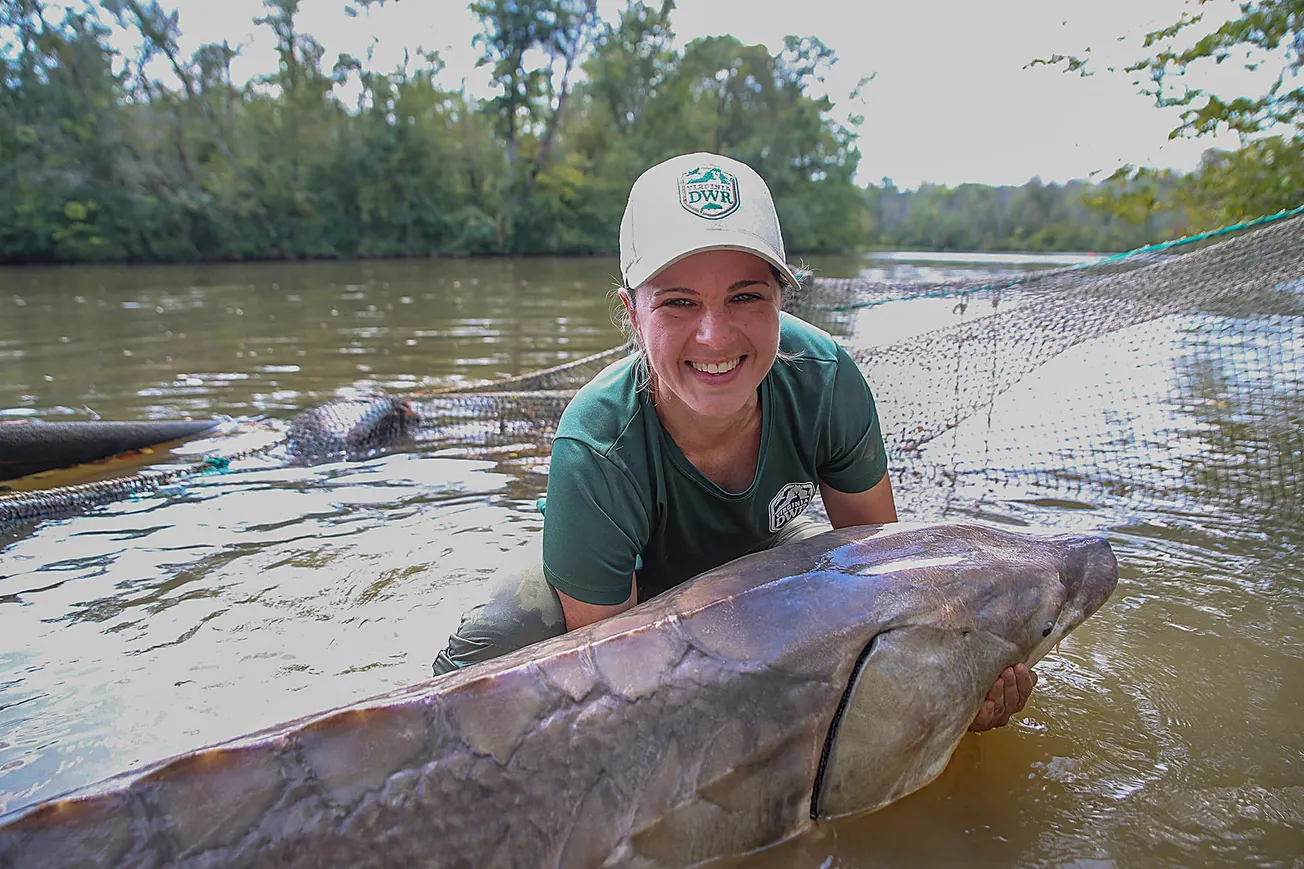 The fish that swam with dinosaurs: Sturgeon are full of surprises, including that they’re here