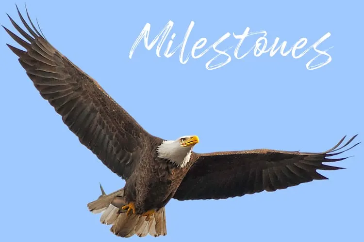 Milestones: Aug. 11, 2026