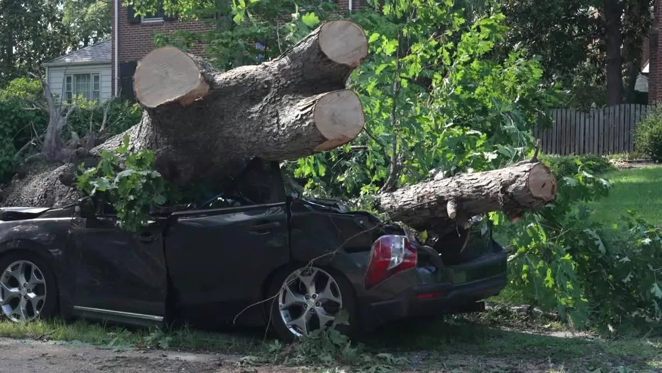 Henrico crews work to clear storm debris days after Friday night storm damages cars, homes