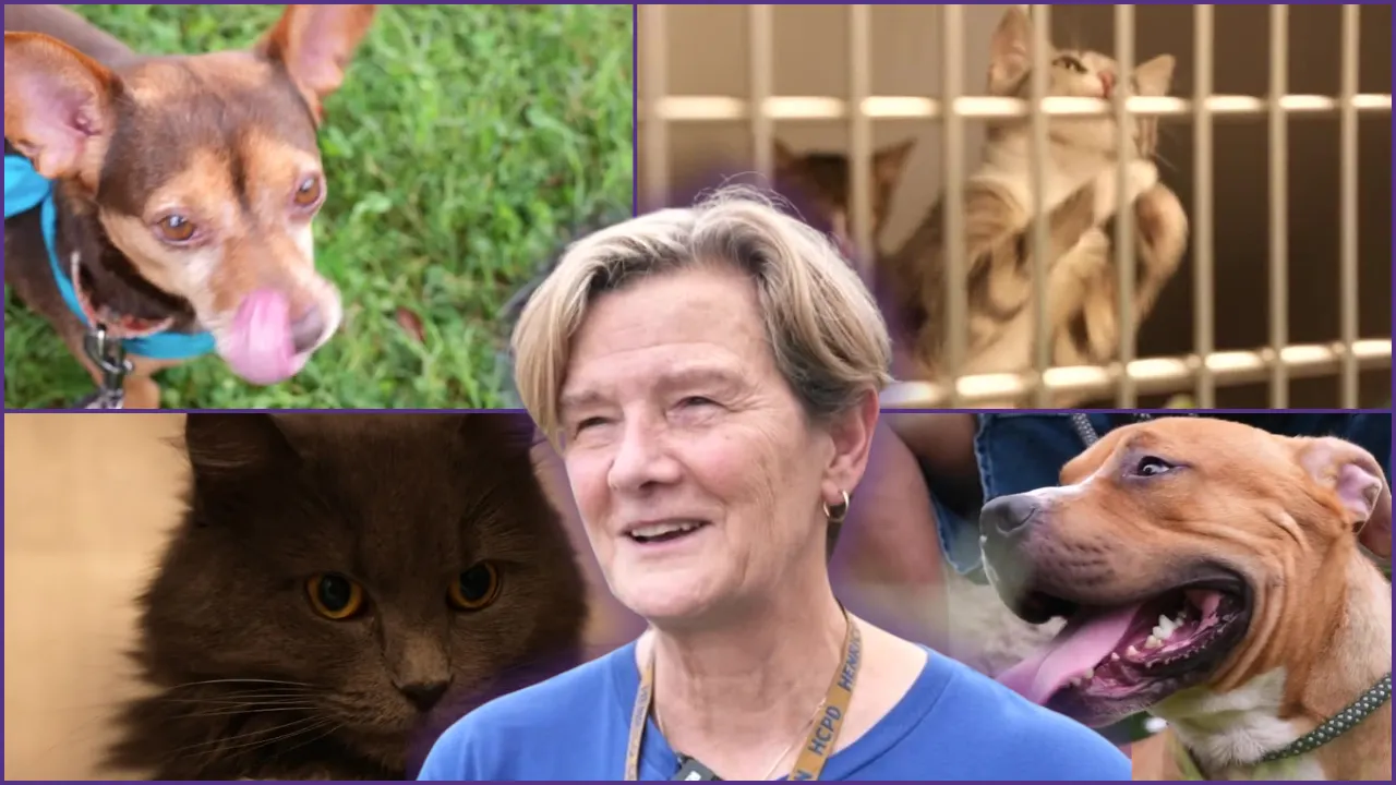 Henrico 'Clear the Shelter' event sets record with 47 animals adopted