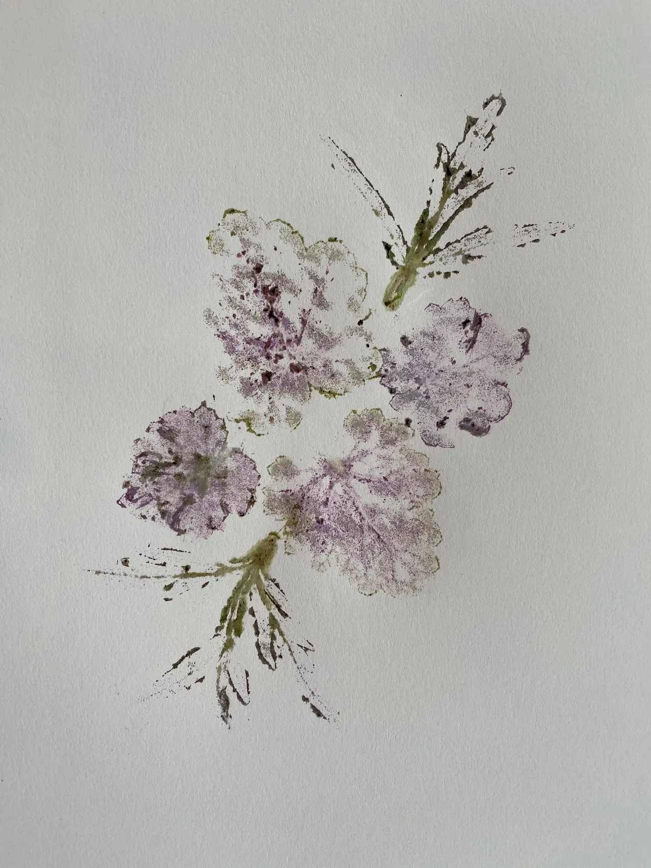In the Garden: Capture the beauty of your garden with flower art